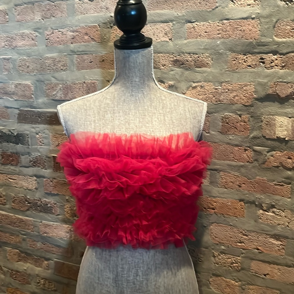 Zara Hot Pink Tulle Tube Top